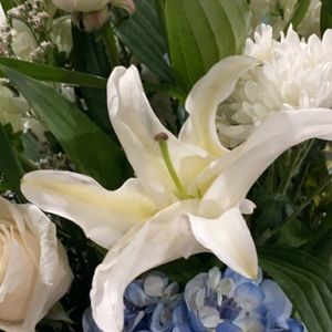 Meet your Posher, Sammy